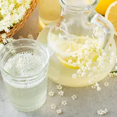 Fiori di sambuco freschi, limone e una caraffa con la ricetta sciroppo di sambuco.