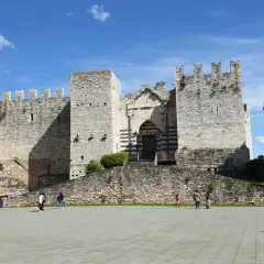 Castello medievale nel prato centro storico, con un grande albero e cielo azzurro.