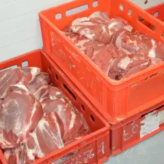 Ile kosztuje badanie mięsa u weterynarza? Sprawdź ceny i szczegóły