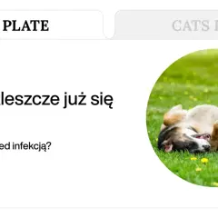 Szczeniak przewraca się na zielonej trawie.