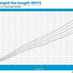 Grafico OMS: tabelle percentili peso/lunghezza per neonati maschi da 0 a 2 anni. Mostra curve di crescita per diverse percentili.