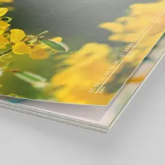 Detalle de calendarios gratis con flores amarillas y números de semanas.