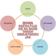 Kiedy dziecko powinno mówić "r"? Normy, przyczyny i ćwiczenia