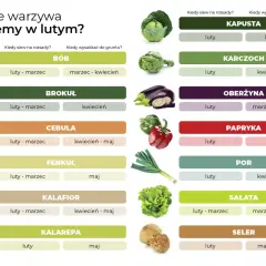 Tabela podpowiada, co siać w lutym na rozsady i do gruntu: bób, brokuł, cebulę, kapustę, karczoch, oberżynę, paprykę, por, sałatę, seler.