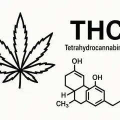 Liść konopi i wzór chemiczny THC (Tetrahydrocannabinol).