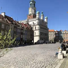 Poznań: Co zwiedzić? Koziołki, Rogale, Malta Twój plan zwiedzania
