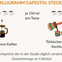 12 mg Cafestol stecken in French Press Kaffee und türkischem Kaffee. Dies entspricht der täglichen Dosis in einer Studie.