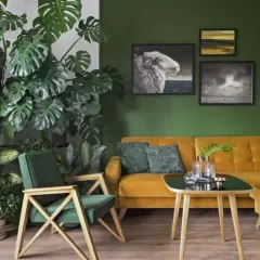Salon z mnóstwem zielonych dodatków: duża monstera, zielone poduszki i fotel. Żółta kanapa i obrazy na zielonej ścianie tworzą przytulną atmosferę.