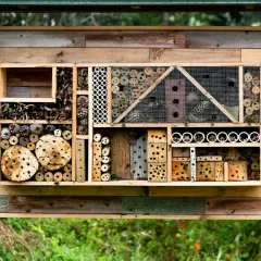 Ein liebevoll gestaltetes Insektenhotel, das zum **insektenhotel selber bauen** inspiriert. Es bietet Unterschlupf für verschiedene Nützlinge mit Holz, Röhren und Zapfen.