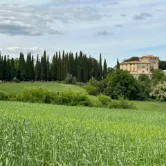Campi verdi e un casale toscano sullo sfondo, un paesaggio tipico della chianti route sr222.