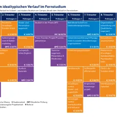 Der Studienverlaufsplan für die Fachhochschule Soziale Arbeit zeigt Module über 9 Trimester, von Sozialwissenschaften bis zur Bachelorarbeit.