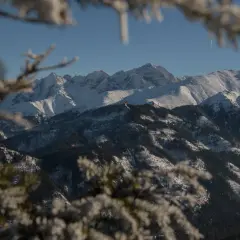 Zimowy widok na Tatry z zamglonymi gałązkami. Trasa na Rusinową Polanę w śnieżnej scenerii.