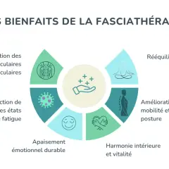 Schéma illustrant les bienfaits de la thérapie manuelle des fascias : libération des tensions, réduction de l'anxiété, rééquilibrage du corps, amélioration de la mobilité et de la posture, harmonie intérieure et vitalité.