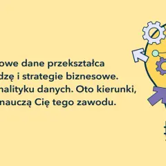 Analiza danych studia: przekształć surowe dane w wiedzę i strategie biznesowe. Grafika przedstawia żarówkę z elementami analizy danych.
