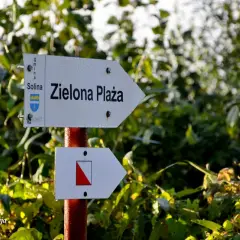 Droga do zielona plaza Wolkowyja. Strzałka kierunkowa wskazuje szlak.