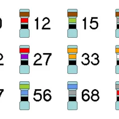 Różne oporniki z kolorowymi paskami, każdy oznaczony liczbą, np. 10, 12, 15, 18, 22, 27, 33, 39, 47, 56, 68, 82.