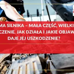 Mechanik sprawdza odma silnika. Dowiedz się, jak działa i jakie objawy daje jej uszkodzenie.
