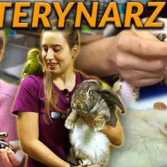 Ile zarabia weterynarz w zoo? Zaskakujące fakty o wynagrodzeniach