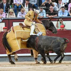 Un torero a caballo, con traje de luces, se enfrenta a un toro en la arena. El caballo lleva una manta amarilla. El público observa desde las gradas.