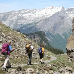 Trois randonneurs se baladent sur un sentier rocailleux, admirant les montagnes enneigées et les vallées verdoyantes.