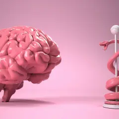 Un cervello rosa lucido e un serpente stilizzato avvolto attorno a un bastone, che simboleggiano il cervello rettiliano.