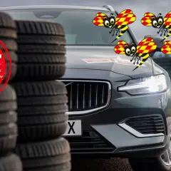 Bästa i test: Bilar med låg ljudnivå testas. Fyra glada bin flyger runt en bil, omgiven av däck.