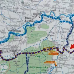 Mapa szlaku rowerowego VeloMetropolis z zaznaczoną trasą EuroVelo 11 i 4. Czerwona strzałka wskazuje "TU JESTEŚ" w okolicach Bogucic.