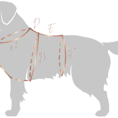 Ilustracja pokazuje schematyczne ujęcie psa z zaznaczonymi liniami i literami (A, B, C, D, E, F), które pomagają zrozumieć, jak zmierzyć szelki dla psa.