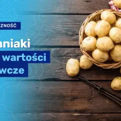 Ziemniaki ile kalorii? Sprawdź, jak przygotowanie zmienia wartości!