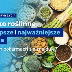 Jakie białko roślinne wybrać, aby uniknąć niedoborów i zyskać zdrowie?