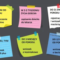 Terminy formalności po porodzie: ubezpieczenie zdrowotne (7 dni), rejestracja dziecka i wniosek o urlop macierzyński (21 dni), wniosek o 500+, becikowe i kosiniakowe.