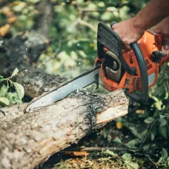 Ręce trzymające pomarańczową pilarkę spalinową, która przecina drewno. Pomocne przy wyborze, jaką pilarkę spalinową wybrać.
