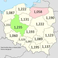 Współczynnik dzietności w Polsce: Stan i wyzwania dla przyszłości