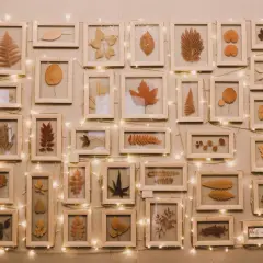 Collection de feuilles séchées encadrées, une belle idée peinture acrylique pour capturer la beauté de l'automne. Guirlande lumineuse ajoutant une touche chaleureuse.