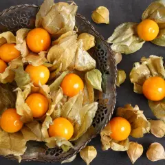 Frische Physalis-Früchte, umhüllt von ihren papierartigen Hüllen, liegen in einer verzierten Schale und verstreut auf dunklem Untergrund.