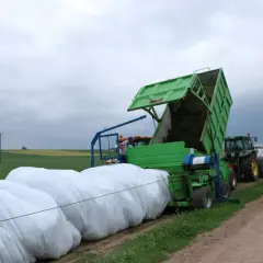 Maszyna rolnicza pakuje kukurydzę na kiszonkę w białe worki. Ciągnik z przyczepą stoi obok.