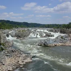 Potomac: bystrza i skały na rzece, zalesione brzegi w tle.