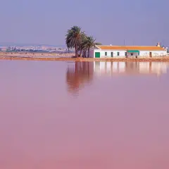 Casa blanca junto a palmeras sobre el agua rosa de la playa rosa Murcia.