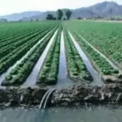 Riegos Azuer: Soluciones efectivas en maquinaria agrícola e irrigación