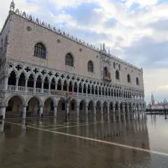Palacio Ducal de Venecia reflejado en el suelo mojado por el acqua alta. Un ave vuela sobre la plaza.