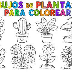 Dibujos de plantas para colorear: girasol, cactus, tulipanes, monstera, bonsái y más. ¡A pintar!