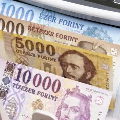 Stos banknotów w maszynie do liczenia. Widać nominały 1000, 2000, 5000 i 10000. To węgierska waluta, forint.
