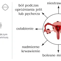 Ilustracja przedstawia objawy endometriozy: ból, niestrawność, bezpłodność, mdłości, bolesny stosunek, bolesne miesiączki, nadmierne krwawienie i osłabienie.