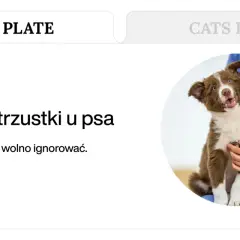 Uroczy szczeniak u weterynarza. Tekst informuje o zapaleniu trzustki u psa i objawach, których nie wolno ignorować.