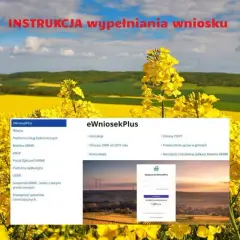 Instrukcja wypełniania wniosku eWniosekPlus. Widok ekranu z opcjami, w tym płatności bezpośrednie, na tle kwitnącego rzepaku.