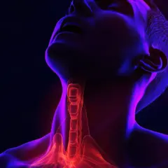 Anatomical rendering of a human neck, highlighting the larynx and trachea. The **przedsionek krtani** glows with red and orange light against a dark background, illuminated by purple and blue hues.