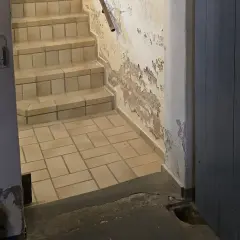 Treppe in einem Keller, der nach Ammoniak riecht. Abblätternde Farbe an der Wand, geflieste Stufen und ein dunkler Holztür.