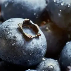 Niezwykła makrofotografia jagód, pokrytych kroplami rosy, ukazująca ich naturalne piękno.
