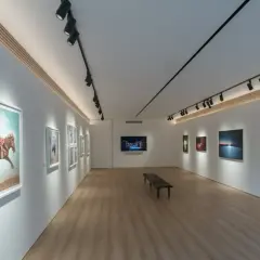 Galeria sztuki z nowoczesnym oświetleniem obrazów. Widać dzieła z jeźdźcem na koniu i krajobrazy.