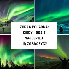 Widok na zorzę polarną, kiedy jest zielona i fioletowa nad ośnieżonymi górami i lasami.
